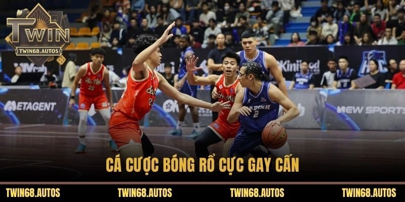 Cá cược bóng rổ cực gay cấn