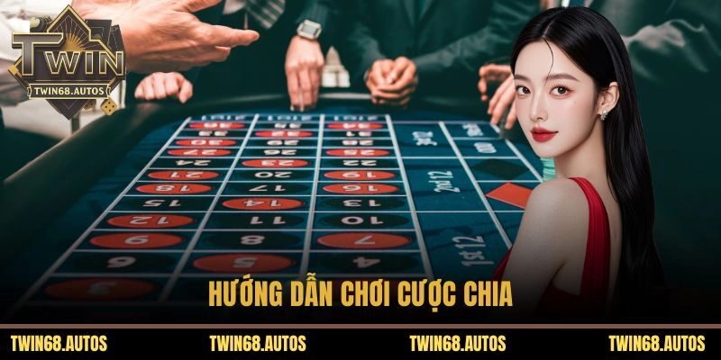 Hướng dẫn chơi cược chia